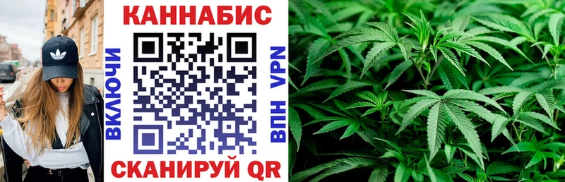 Виды наркотиков купить Железногорск-Илимский A PVP Меф ГАШ Кодеин Каннабис