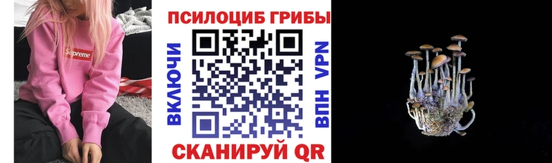 Псилоцибиновые грибы мухоморы  купить наркотик  KRAKEN рабочий сайт  Железногорск-Илимский 